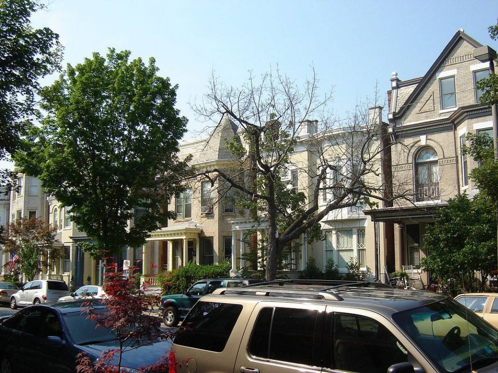 The Fan District
