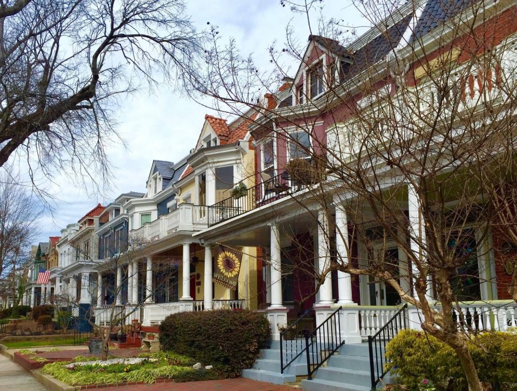 The Museum District