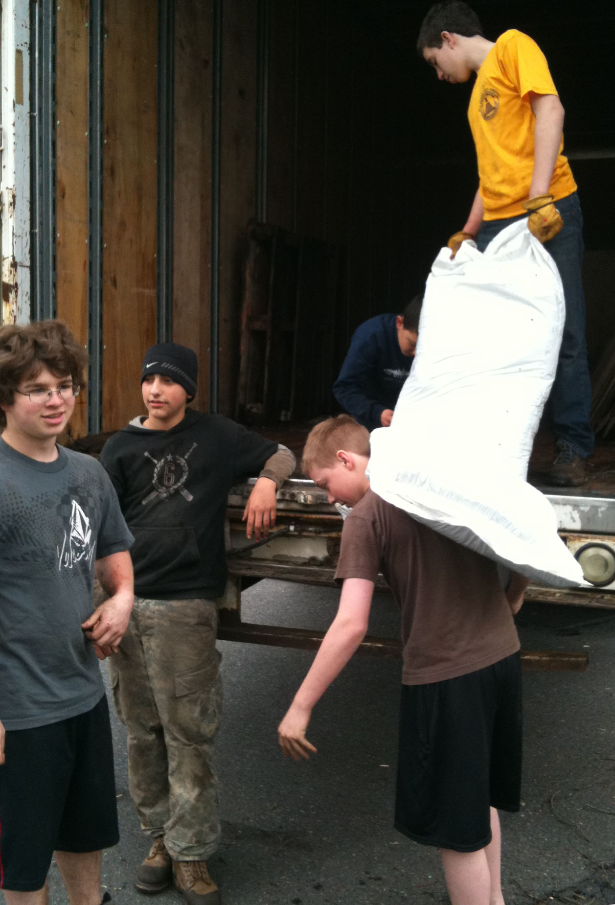 Boy Scouts at work